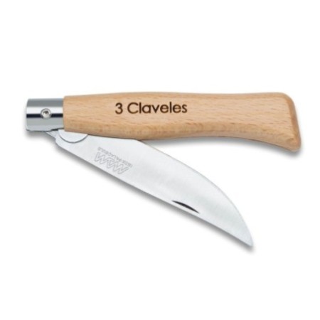 Pocket knife with blade lock