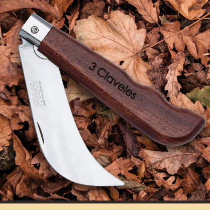 Harvest and mushroom pocket knife with blade lock 2