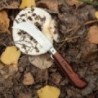 Couteau de poche pour recolte et champignons avec blocage de la lame