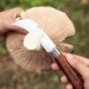 Couteau de poche pour recolte et champignons avec blocage de la lame