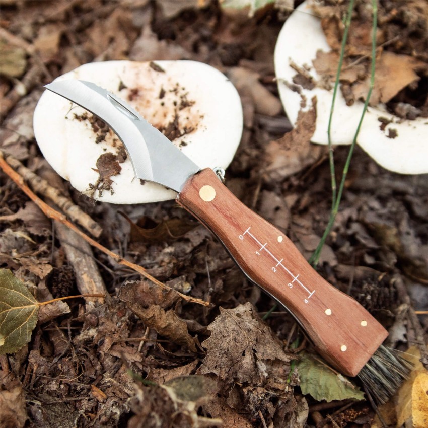 Couteau de poche pour champignons avec brosse