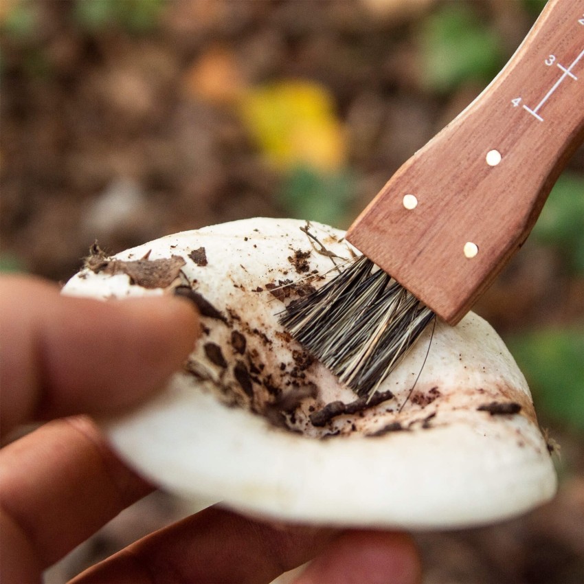 Mushroom pocket knife with brush, metric scale and pouch