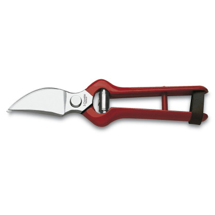 Pruning Shears 2