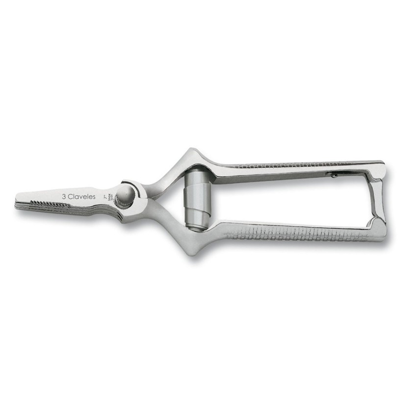 Masticateur Droit