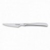 Steak Knife