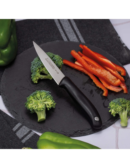 3Claveles_Cuchillo_Verduras_Evo