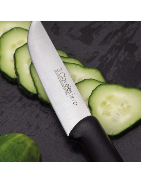 3Claveles_Cuchillo_Cocina_Evo