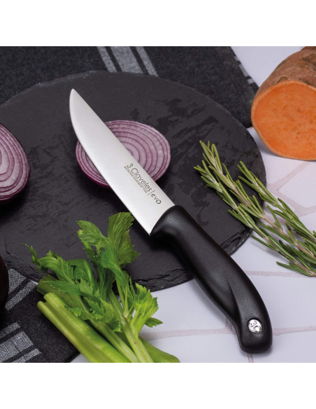 Cuchillo Cocina Evo