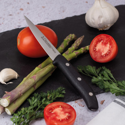 Couteau à Légumes | 3 Claveles 2