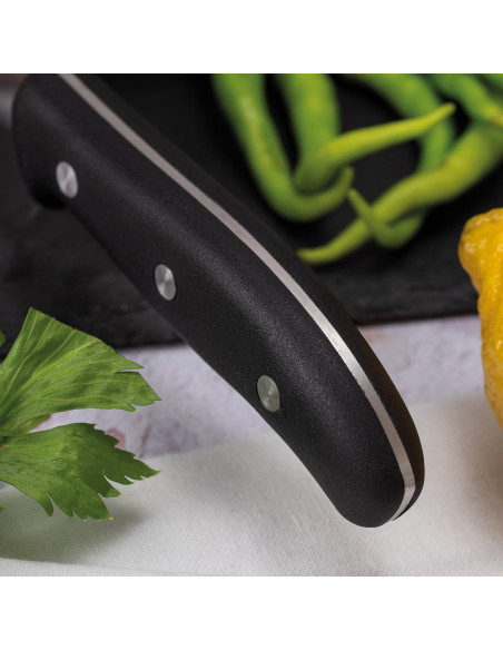 Cuchillo Cocina Domvs