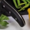 Couteau de Chef Domvs