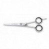Ciseaux Coiffure Air