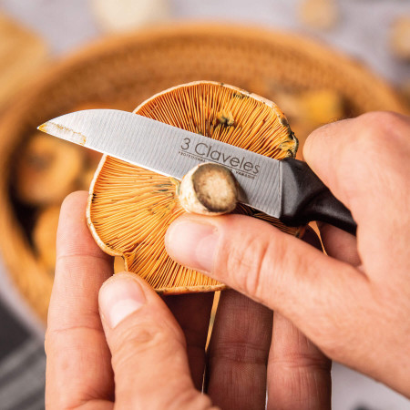 Light straight Peeling Knife