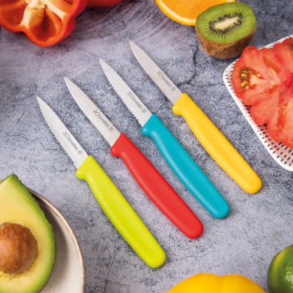 Paring Knife 2