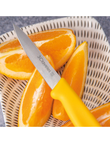 Expositor Cuchillo Verduras 24 Ud