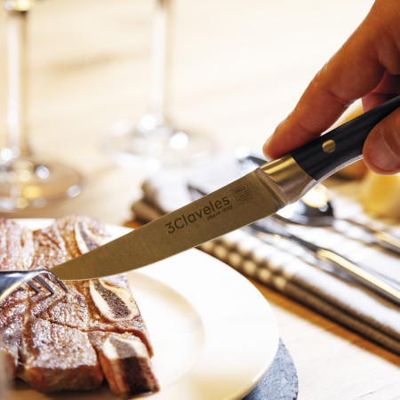 Set 4 Couteaux à Steak