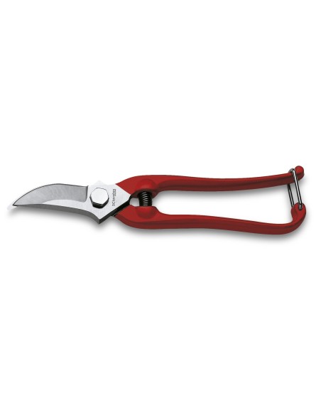 Grape Harvest and Garden Shears | 3 Claveles