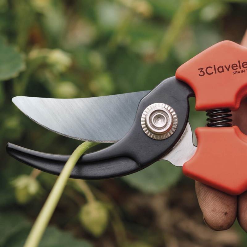Grape Harvest & Harvest Shear | 3 Claveles