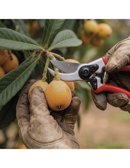Pruning Shears | 3 Claveles