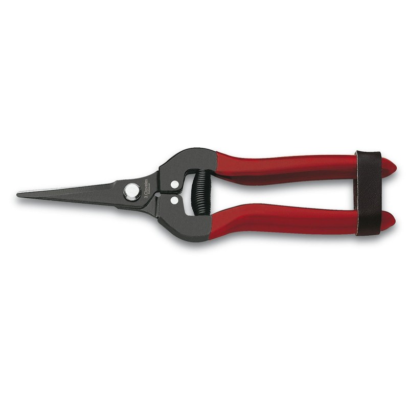 Grape Cleaner Shears | 3 Claveles