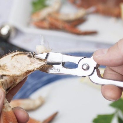 Forged Fish Cutter Spring & Anchorage | 3 Claveles 2