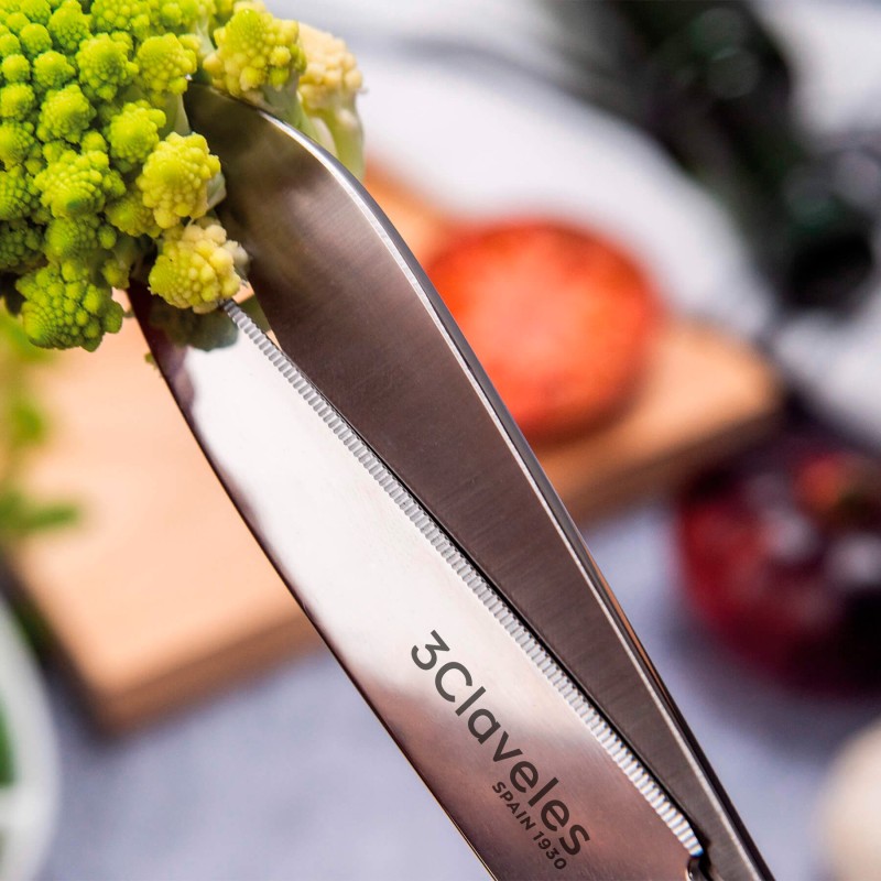 Ciseaux Cuisine Professionnel | 3 Claveles