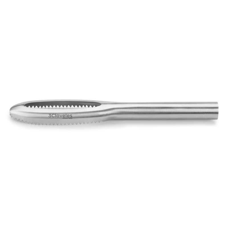 Ecailleur Professionnel Inox