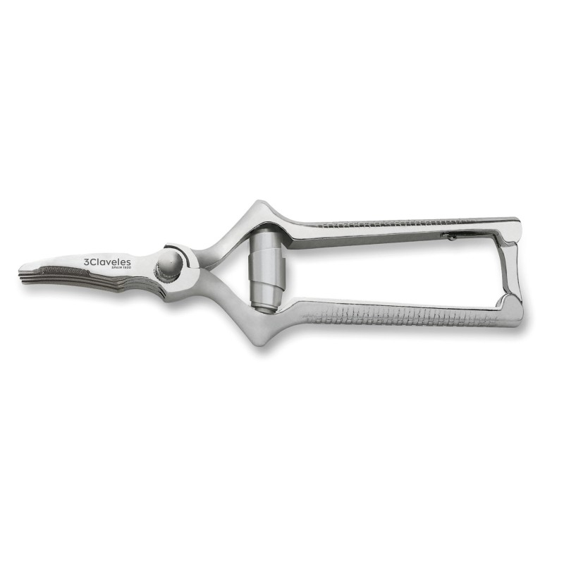 Curved Masticator Shears | 3 Claveles