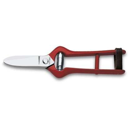 Grape Harvest Shears | 3 Claveles