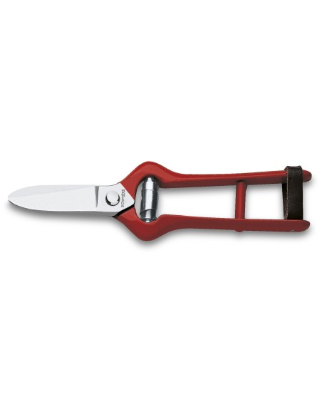Grape Harvest Shears | 3 Claveles