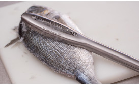 Fish scalers