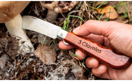 Outdoor pocket knives