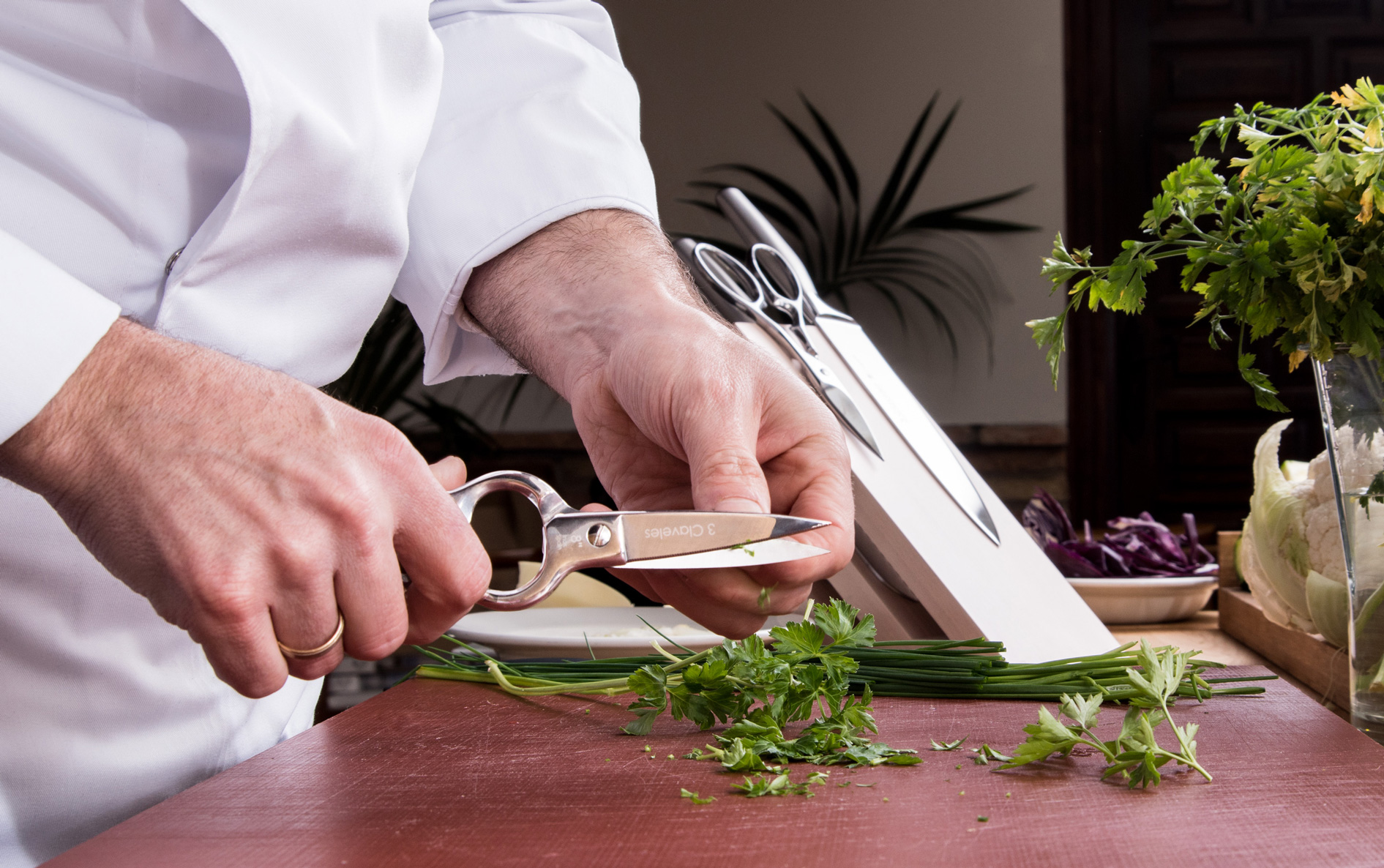 Qué tipos de cuchillos hay para cada plato?, Gastronomía