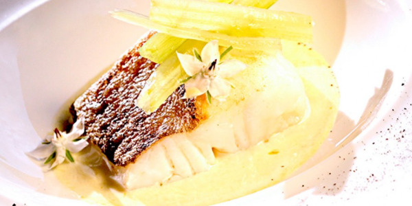 Lomo de bacalao con pilpil y ceniza de calamar
