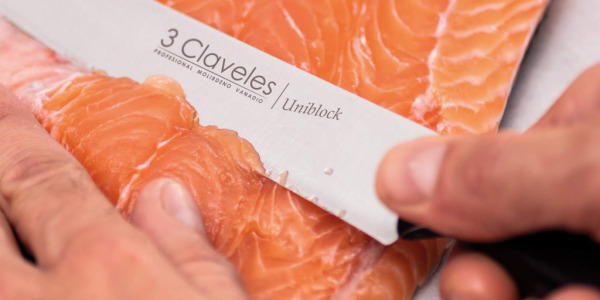 Los 10 pescados más saludables para nuestra alimentación: ¿Cuáles son?